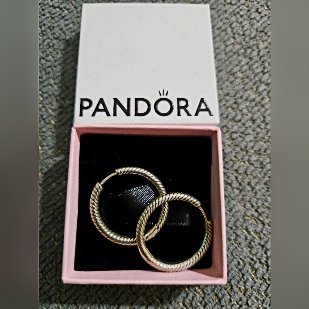 Pandora Moments Charm Hoop Earrings